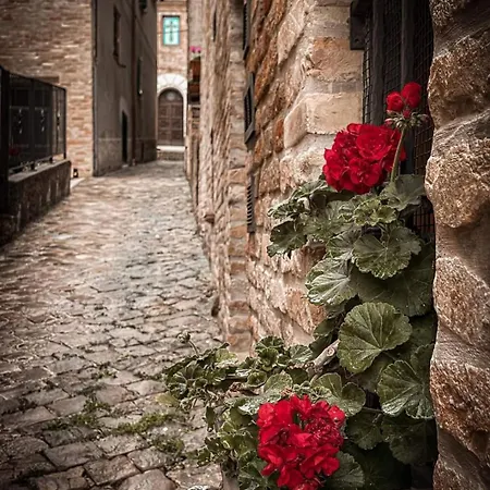 Foxes House Lägenhet *